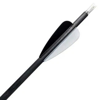 Core Jet carbonpile 4,2 mm 24 stk